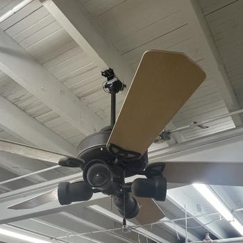 Ceiling Fan